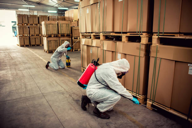 Reliable Elko New Market, MN Pest Control Solutions