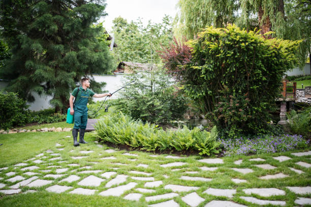 Best Wasp Removal Services  in Elko New Market, MN