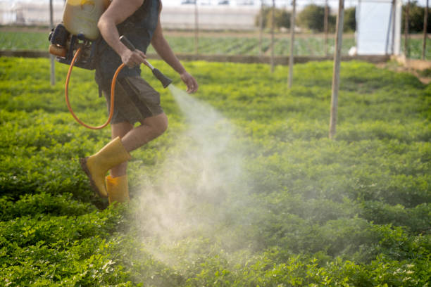 Best Best Pest Control Companies  in Elko New Market, MN