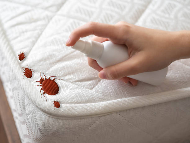 Best Emergency Pest Control  in Elko New Market, MN