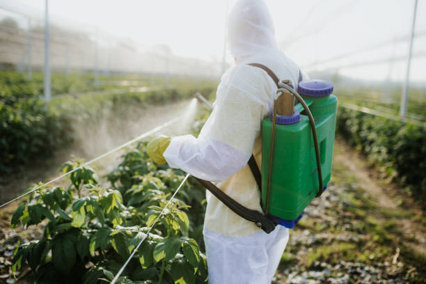 Professional Pest Control in Elko New Market, MN